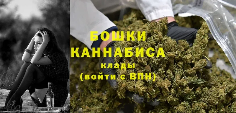 магазин продажи наркотиков  Чкаловск  Бошки Шишки OG Kush 